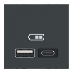 Unica - chargeur USB double - 5Vcc - 2,4A type A+C - 2 modul - anthr - méca seul