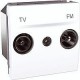 Prise TV/FM passage (1 entrée 1 sortie) 2 modules - Blanc Schneider Unica