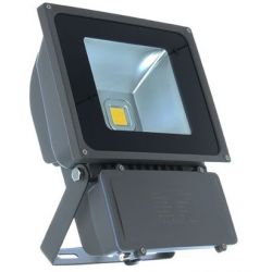 PROJECT LED VISION-EL 230 V 100 WATT 6000°K GRIS IP65